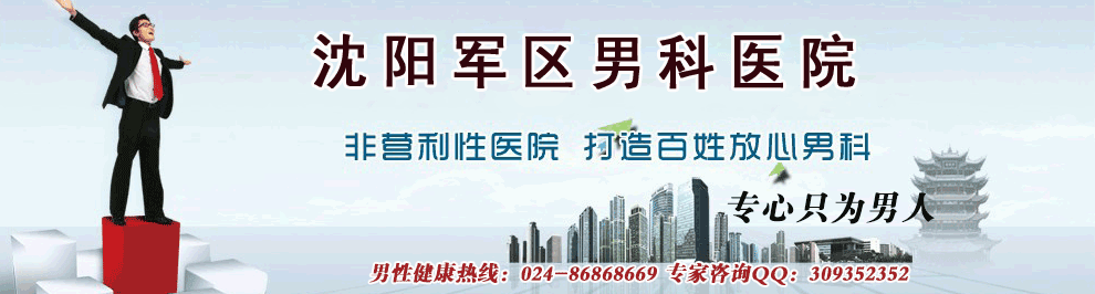 网站